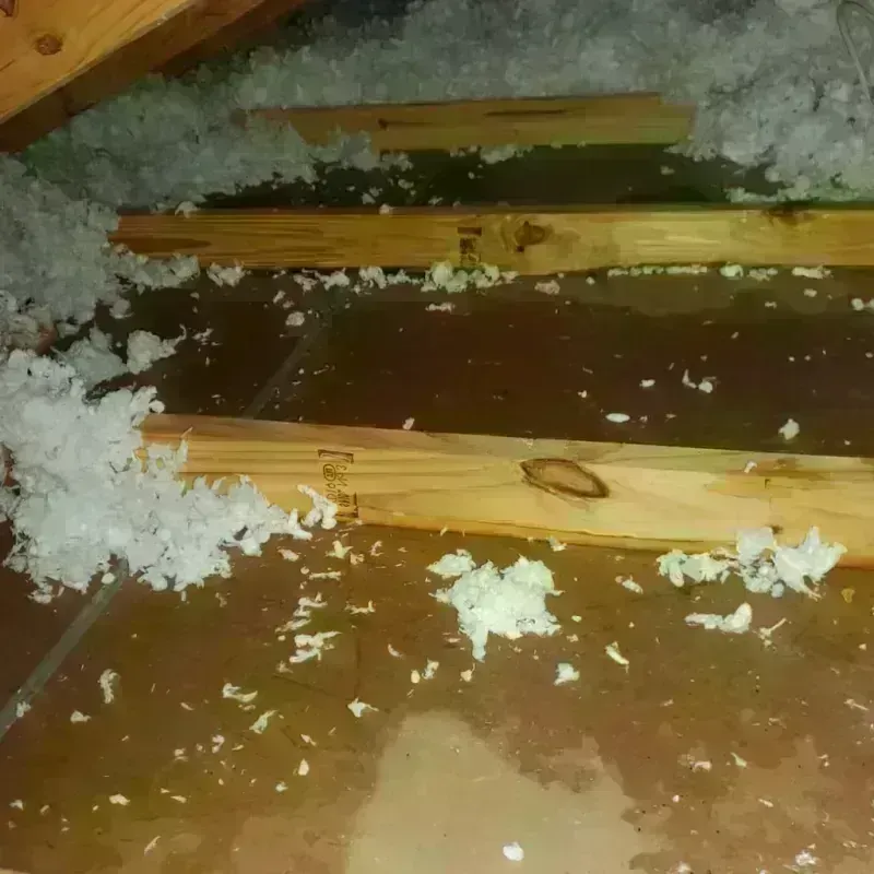 Attic Water Damage in Rock Island, IL