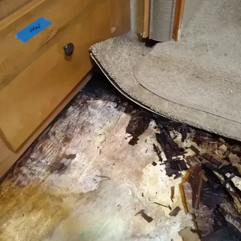 Wood Floor Water Damage in Rock Island, IL